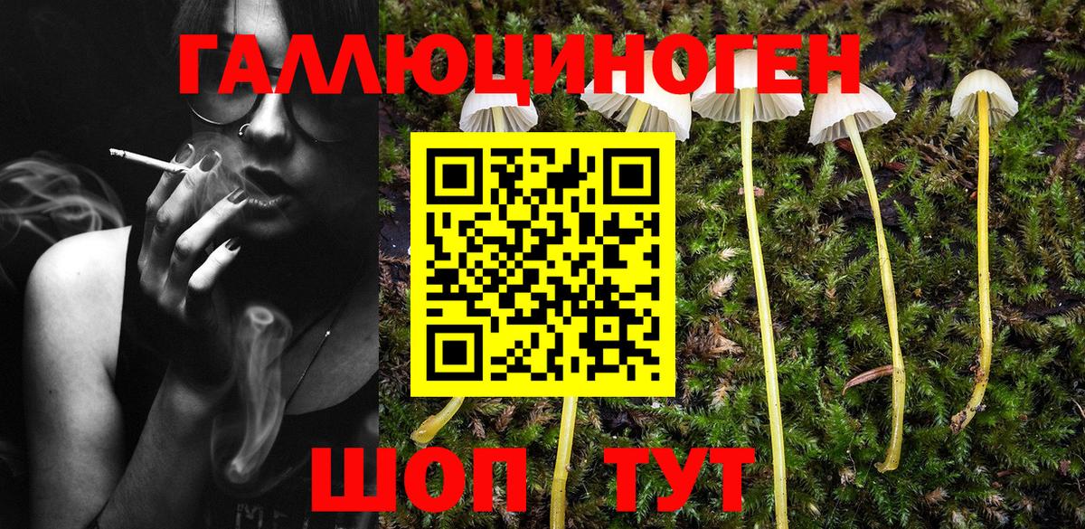 Псилоцибиновые грибы Psilocybine cubensis  Вход с VPN  цена   Псилоцибиновые грибы GOLDEN TEACHER  Ипатово 